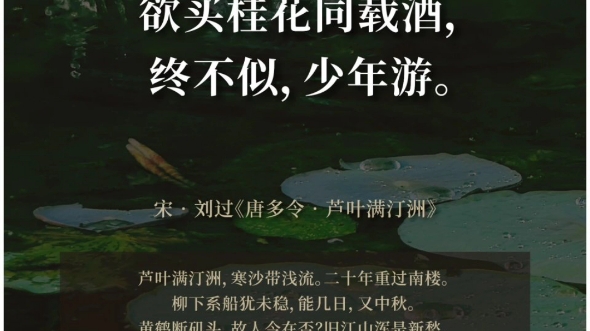 欲买桂花同载酒