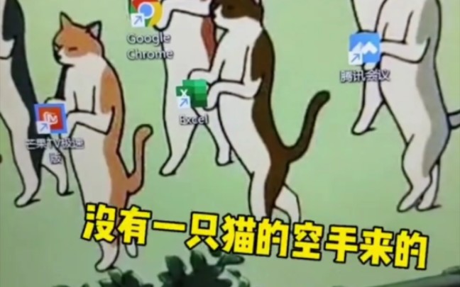 [图]圣火喵喵教来咯～#猫的报恩 #壁纸