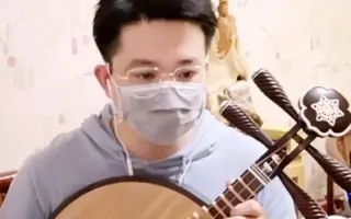 大月琴 哔哩哔哩 Bilibili