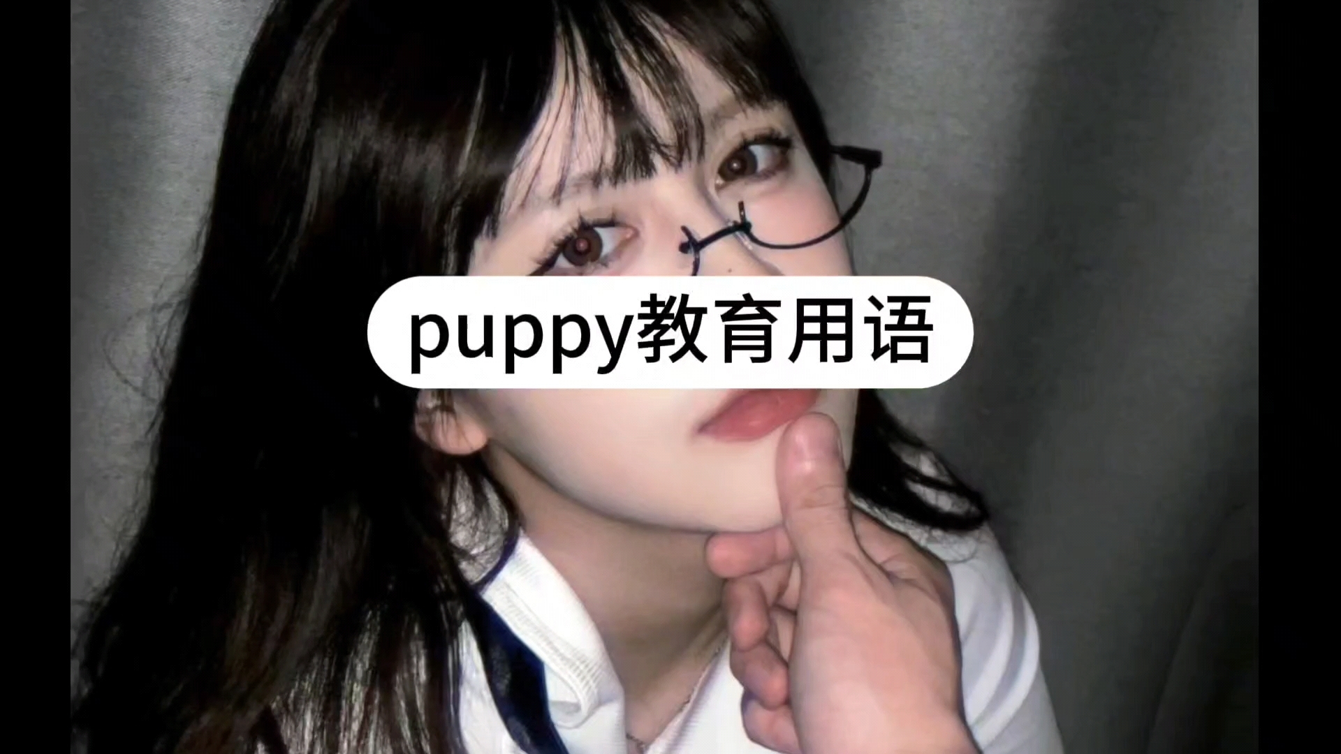 puppy教育用语哔哩哔哩bilibili