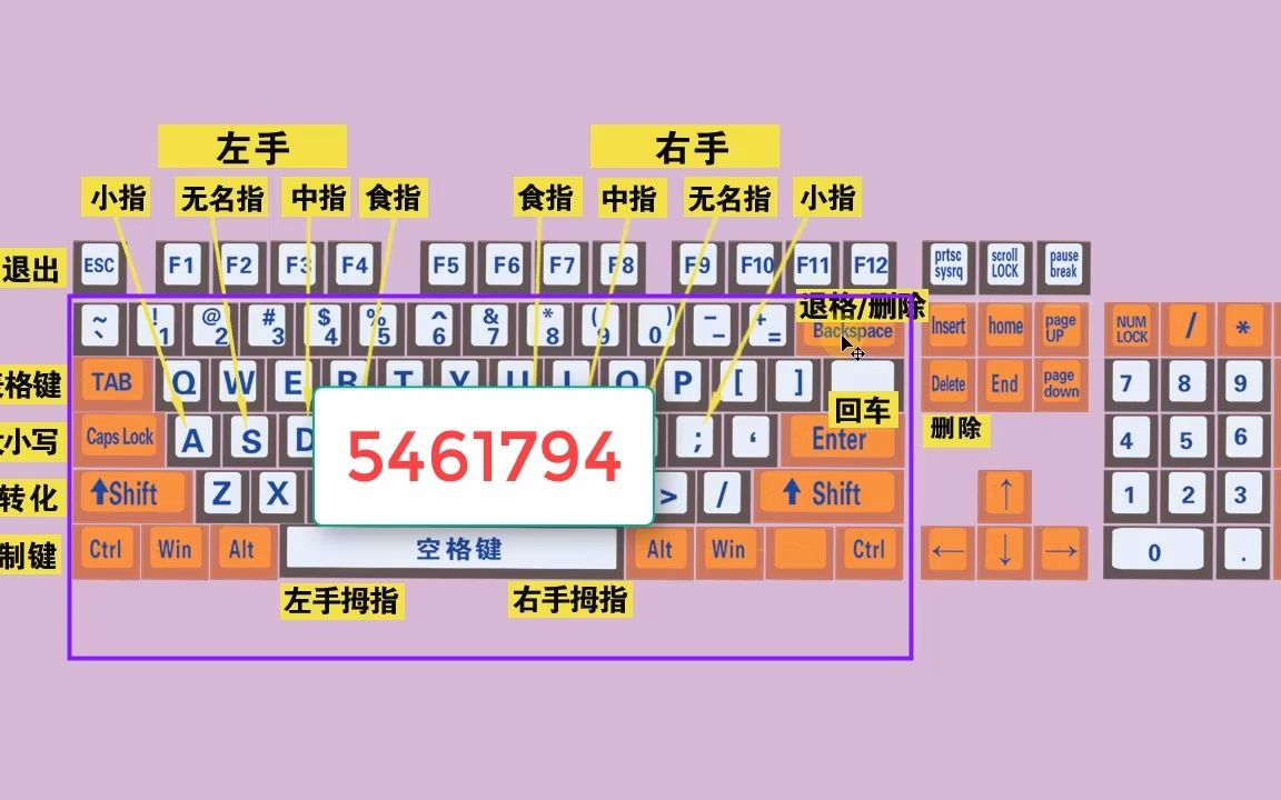 零基础快速学拼音学五笔打字教程,键盘打字快速入门