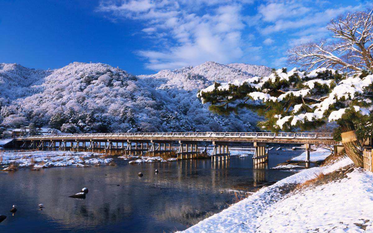 【洛天依日语】渡月桥 ~君想ふ~(仓木麻衣mv付)_哔哩哔哩 (゜-゜)つロ