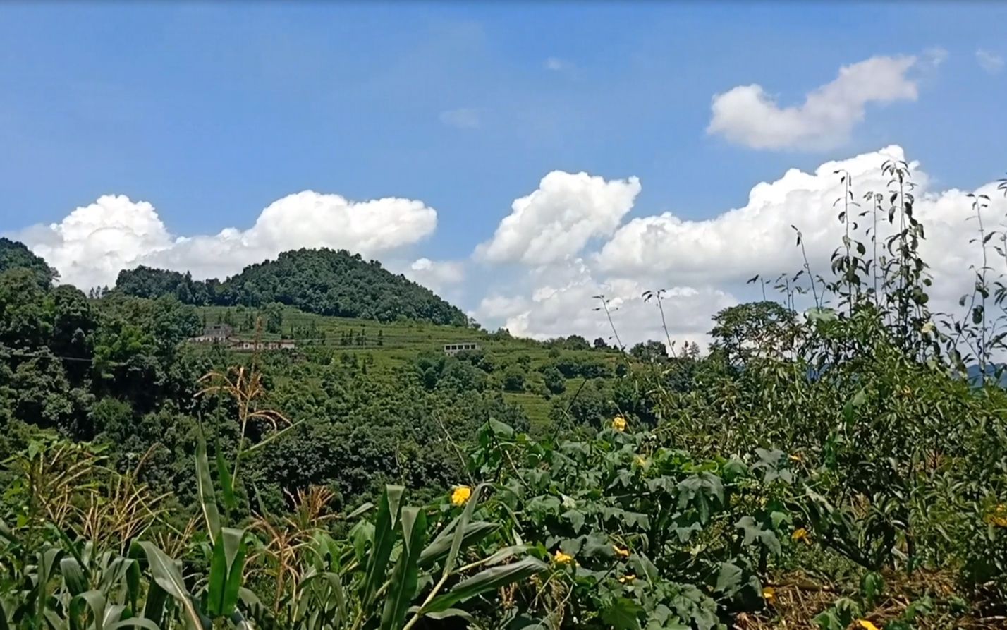 [图]帮邻居送父亲回家，开车几十公里来到大山之上，农村美景尽收眼底