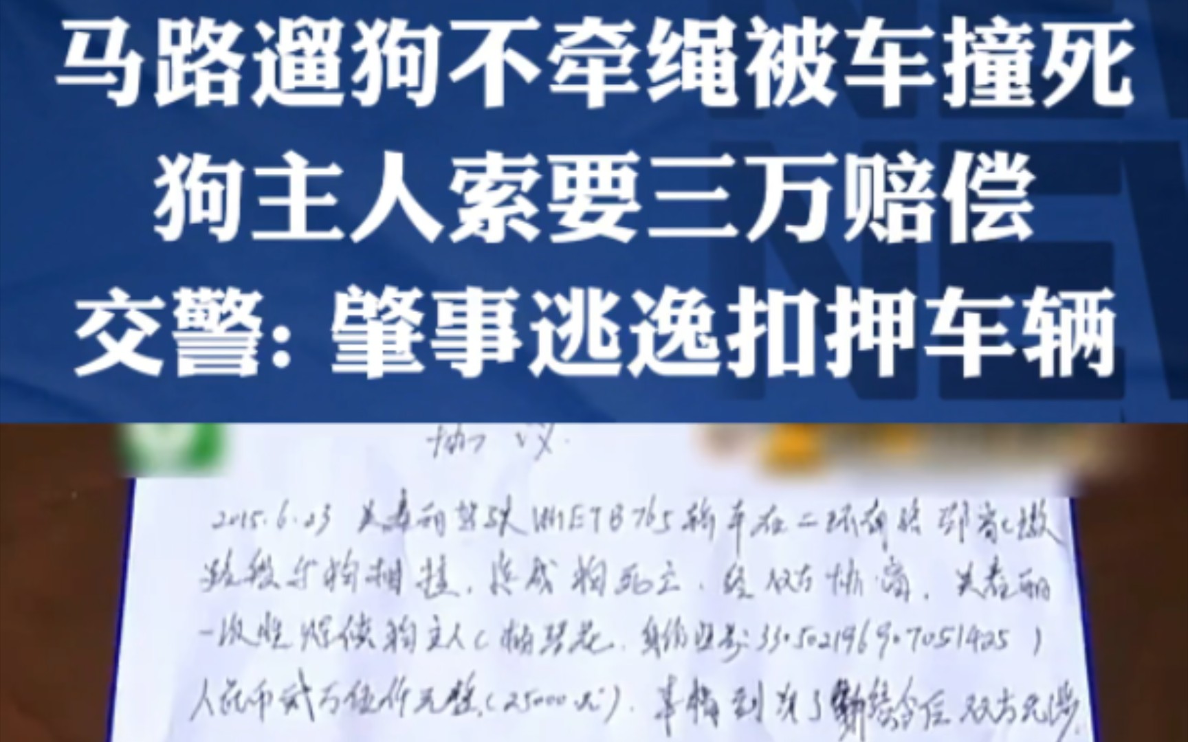 马路遛狗不栓绳被车撞死,狗主人索要3万赔偿.车主慌了,交警:肇事逃逸扣押车辆.(下集).哔哩哔哩bilibili