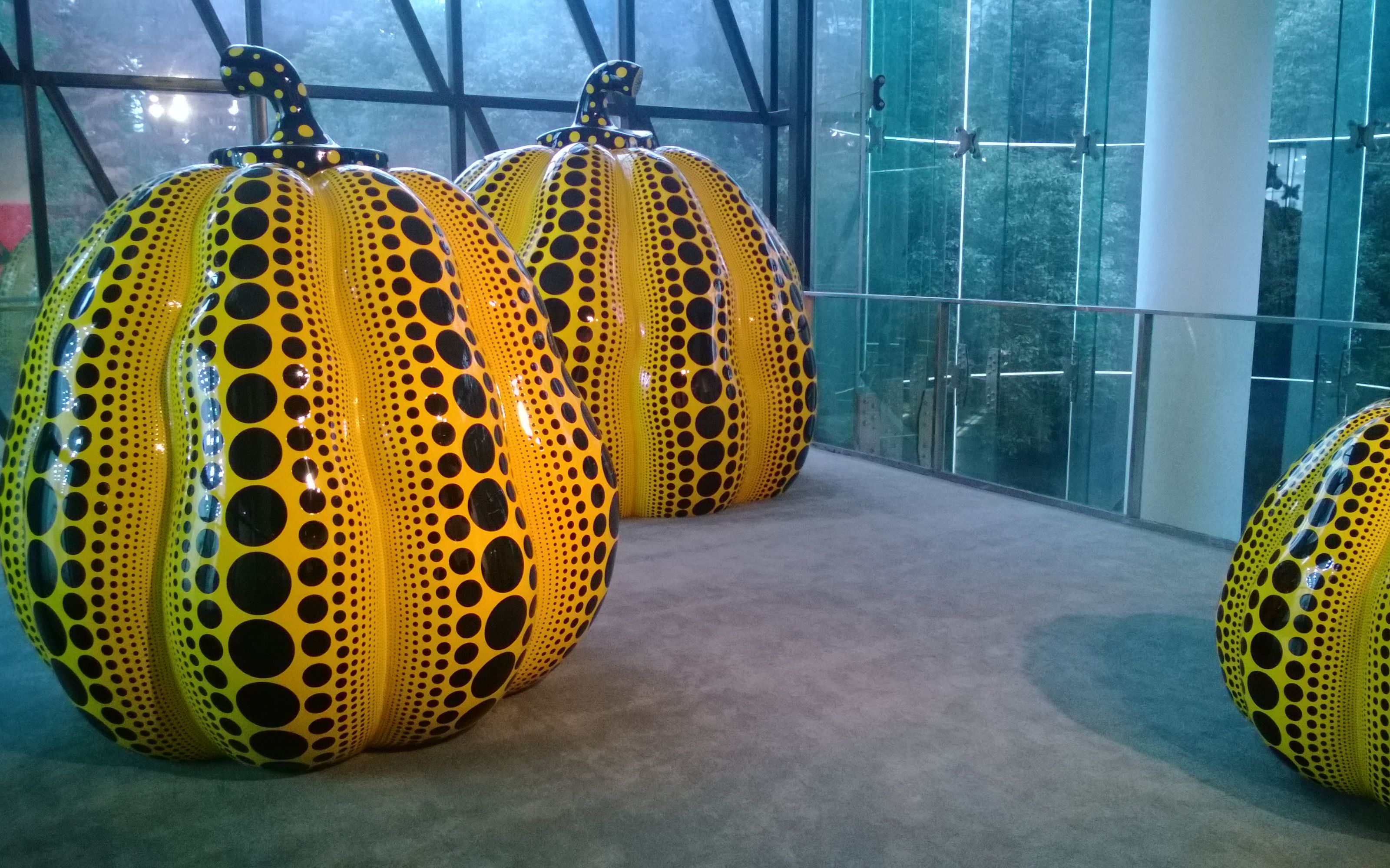 我的一个梦草间弥生个展是草间弥生首次亚洲巡展上海当代艺术馆举办