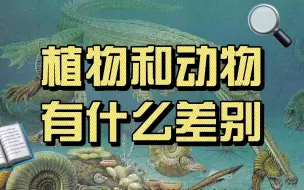 Descargar video: 植物和动物有什么差别