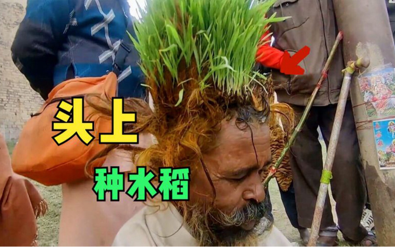 印度苦行僧,在头上种水稻,一种就是3个月!