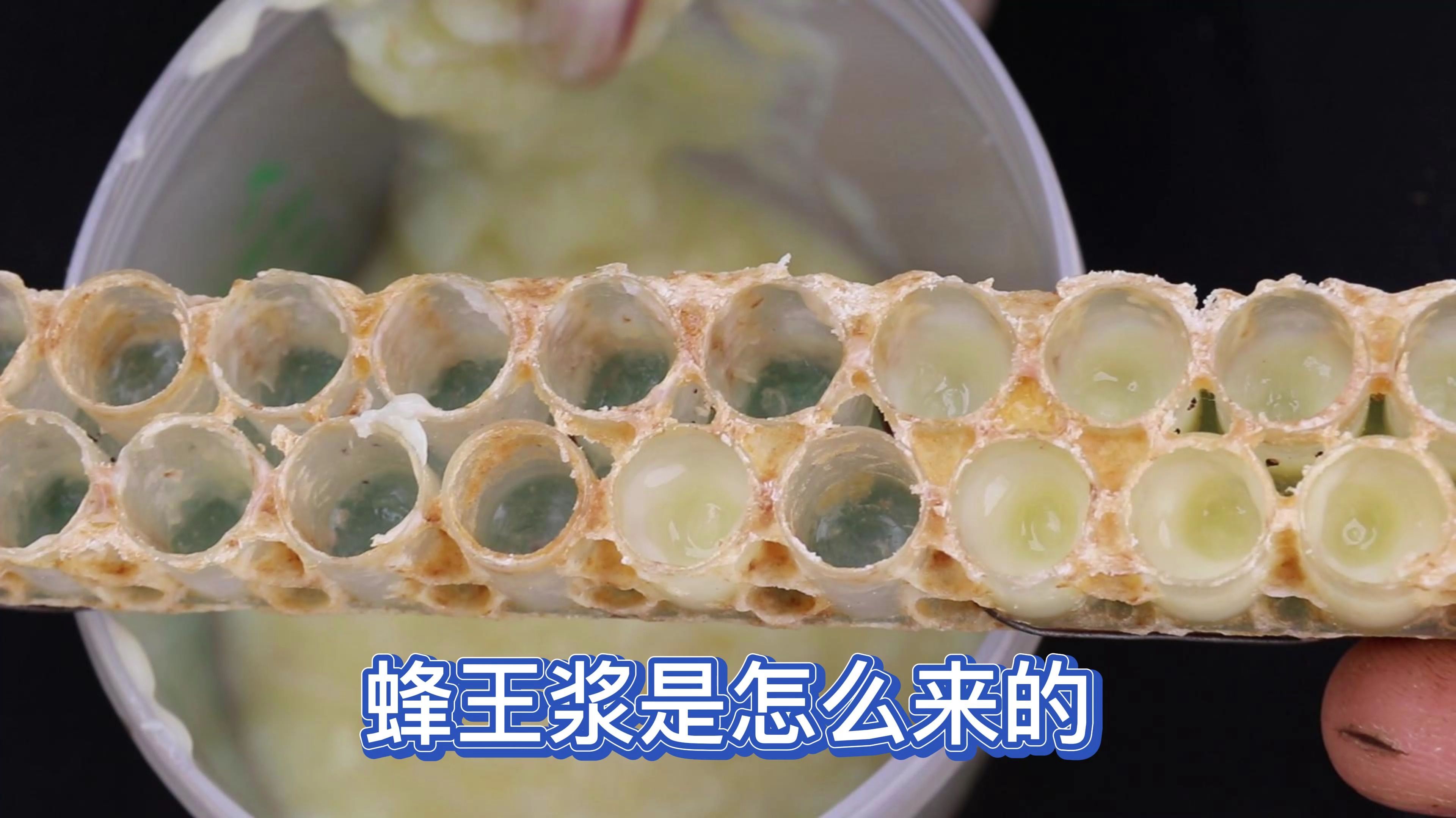 蜂王浆是否天价?蜂农来揭秘