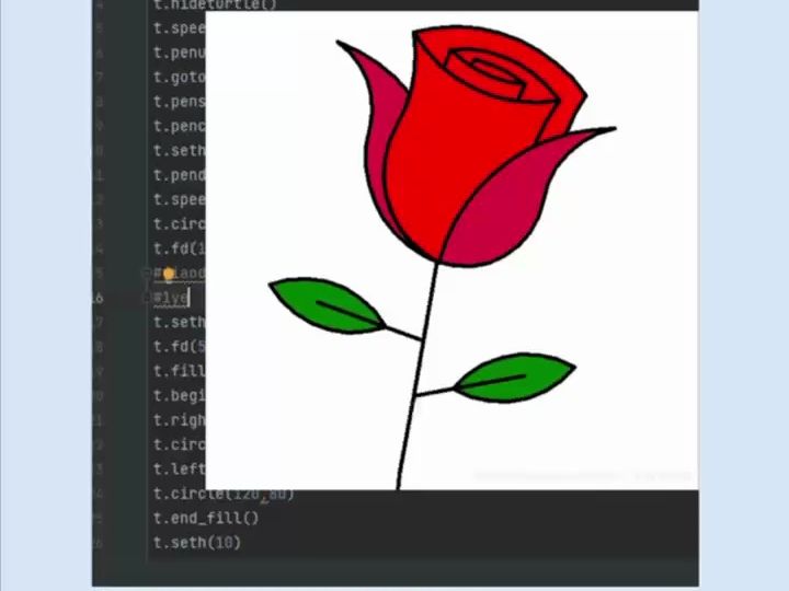 python绘制玫瑰花