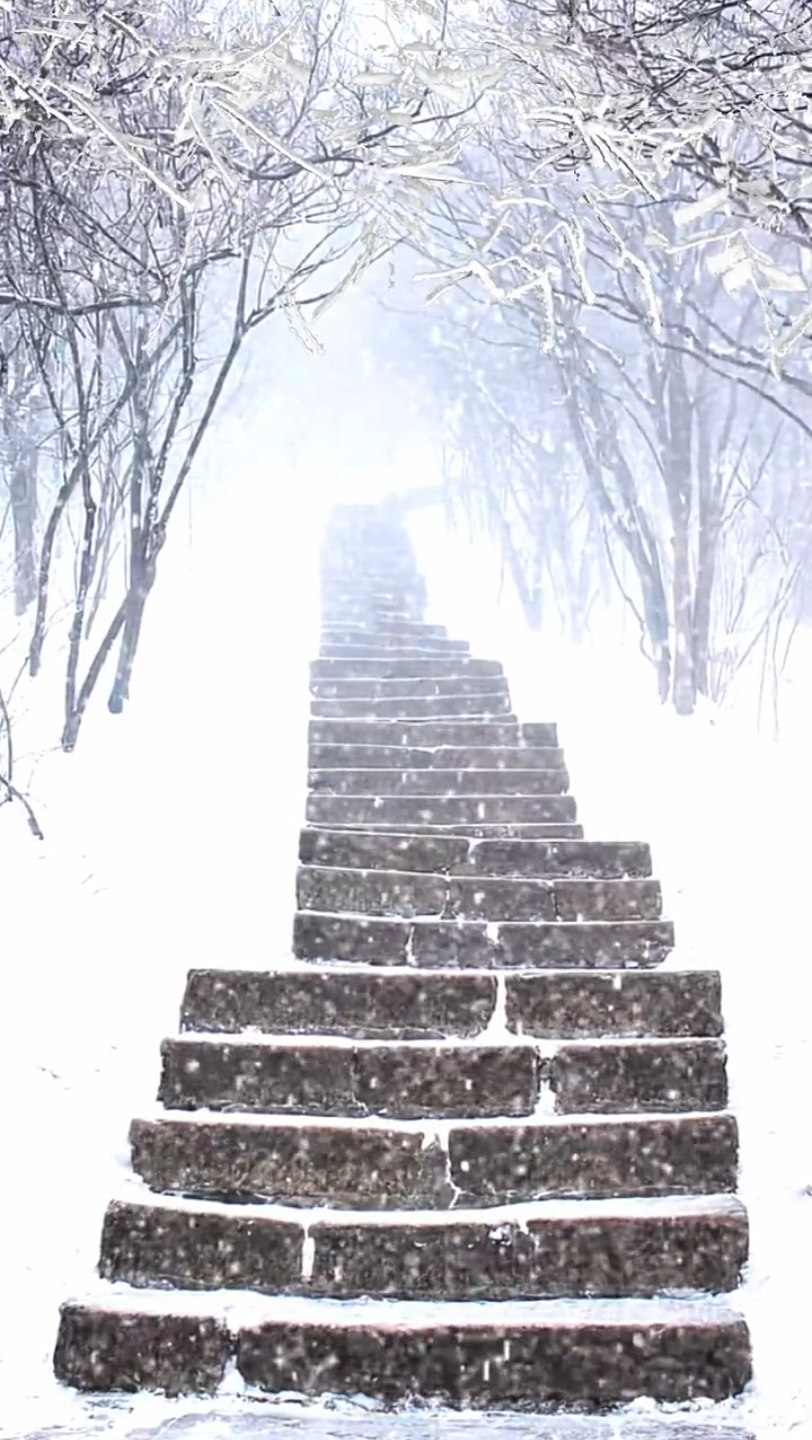 背景素材 看,下雪了.师傅在等谁?#唯美古风 #唯美意境