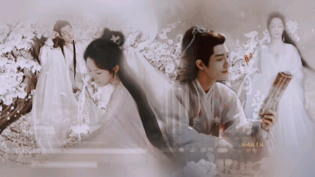 肖战x杨紫时影x颜淡最是人间留不住朱颜辞镜花辞树