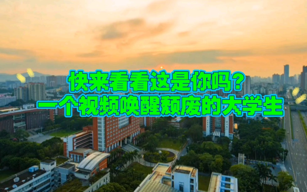 一个视频唤醒颓废的大学生!这是你所经历的大学生活吗?哔哩哔哩bilibili