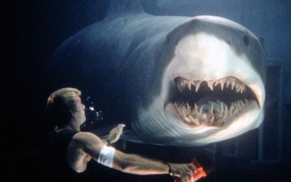 成为大会员深海狂鲨