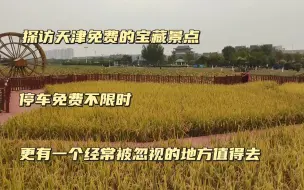 Tải video: 继续探访天津那些免费的宝藏景点，稻香四溢心旷神怡，免费游玩停车不收费，隔壁还有个被忽视的地方更值得看