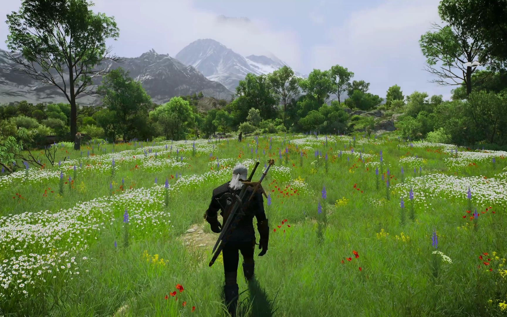 【巫师3】陶森特风景真美啊(除了有蜈蚣.