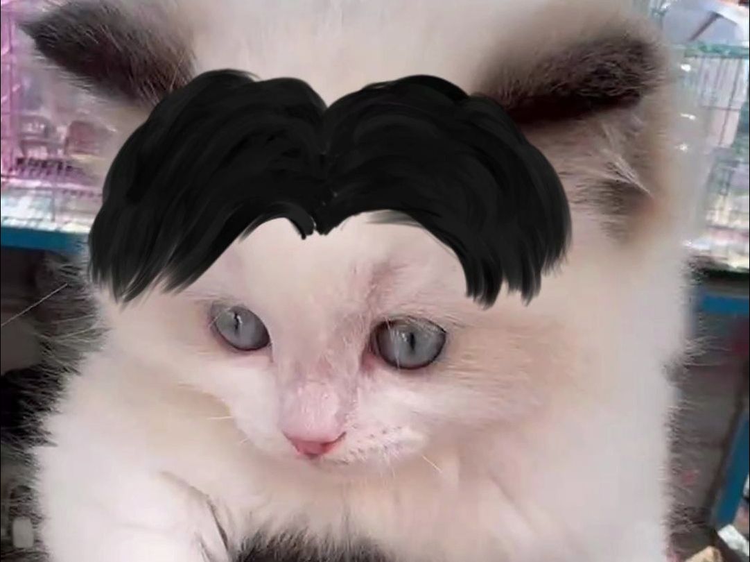 我这个刘海就问你怕不怕