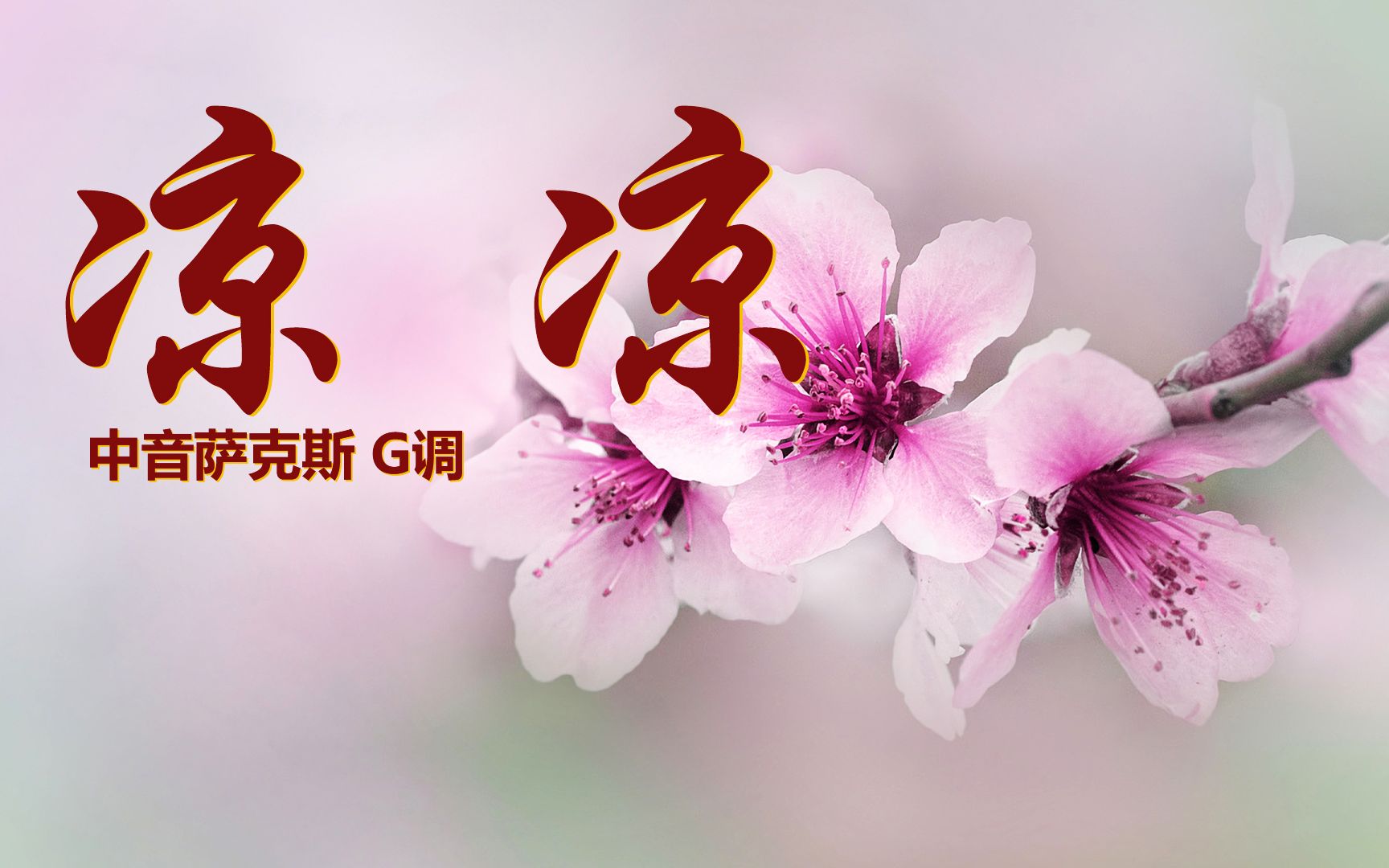 流行金曲《凉凉》,萨克斯演奏音色纯净,悠扬的旋律美妙动听!