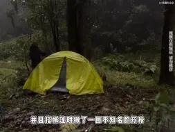 Download Video: 哀牢山，她去了没事，她回来官方就发通告不让进去了