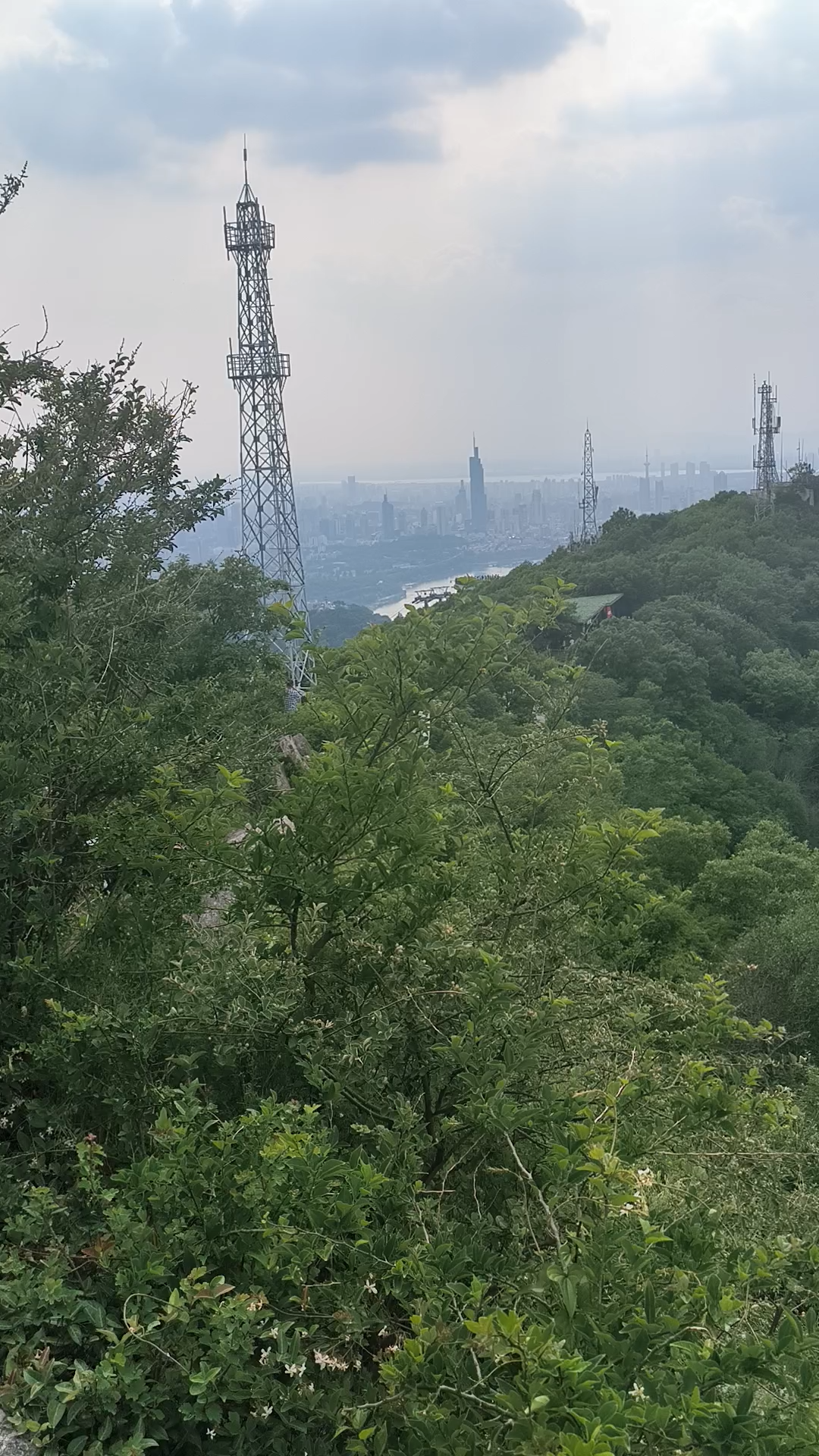 南京紫金山山顶图片图片