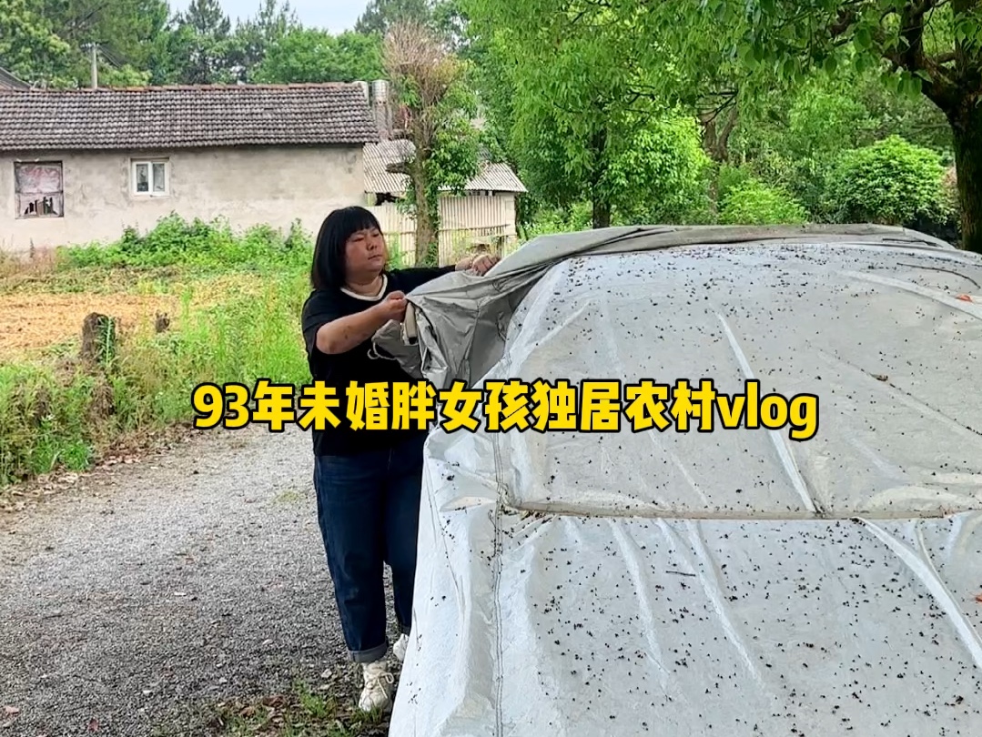 我这里什么都好 就是收快递不方便 有的快递不到村里 要开车去镇上拿 不过也没事就当练练车技了哔哩哔哩bilibili