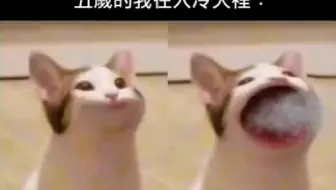 ⚡网友们的神评论（542）⚡快乐每一天