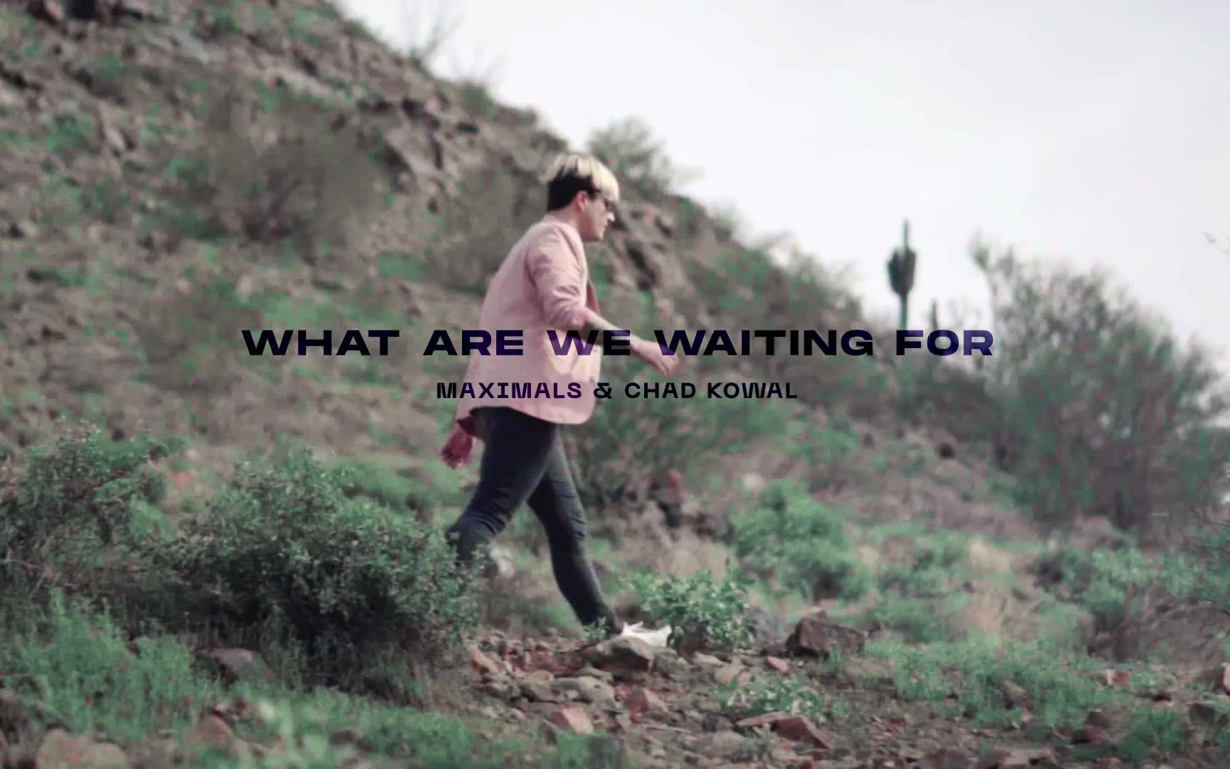 [图]【MV】Maximals & Chad Kowal - What Are We Waiting For (Official Music Video)