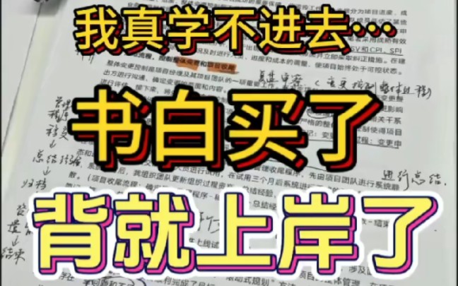 【假如你从8月5日开始备考软考跟着背,2024年11月软考稳稳上岸!软考上岸经验分享+重点笔记资料,速来!】哔哩哔哩bilibili