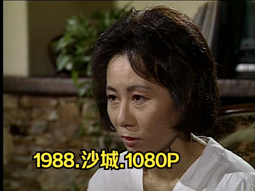 1988.经典韩剧.沙城.高清1080.韩语无字.8集全哔哩哔哩bilibili