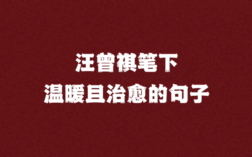 人生忽如寄,莫辜负茶、汤、好天气.|汪曾祺笔下温暖且治愈的句子哔哩哔哩bilibili