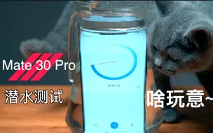 Download Video: 【麒麟990】Mate 30 Pro深度拆解（上）-艾奥科技