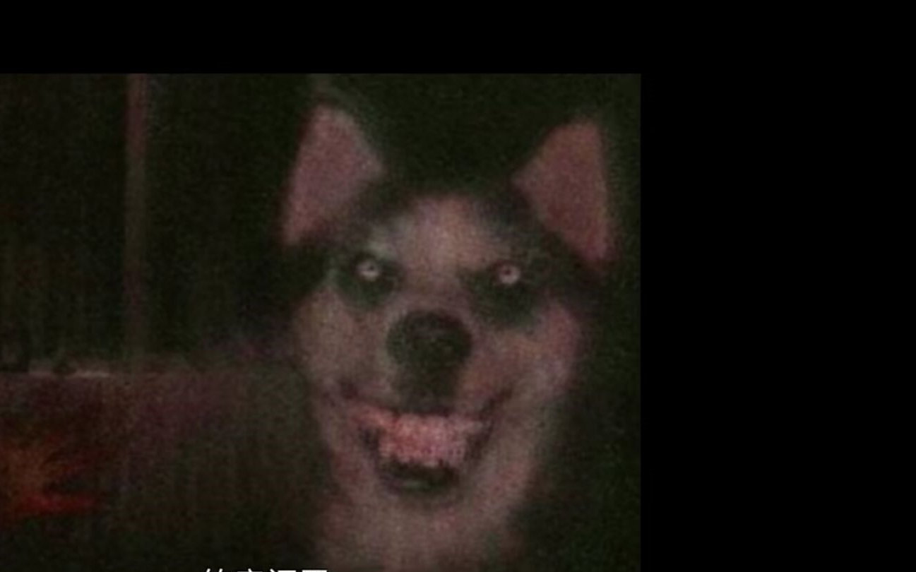 微笑狗 牙膏脸图片
