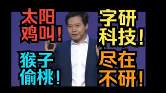 太阳鸡叫！猴子偷桃！字研科技！尽在不研！宗教企业！企业文化！延续至今！
