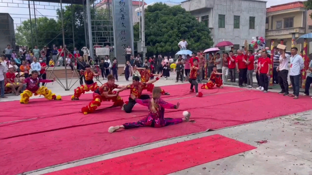 [图]湛江遂溪黄略龙狮团醒狮采青和武术表演