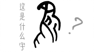 9、不会飞的鱼_哔哩哔哩(゜-゜)つロ干杯~-bilibili