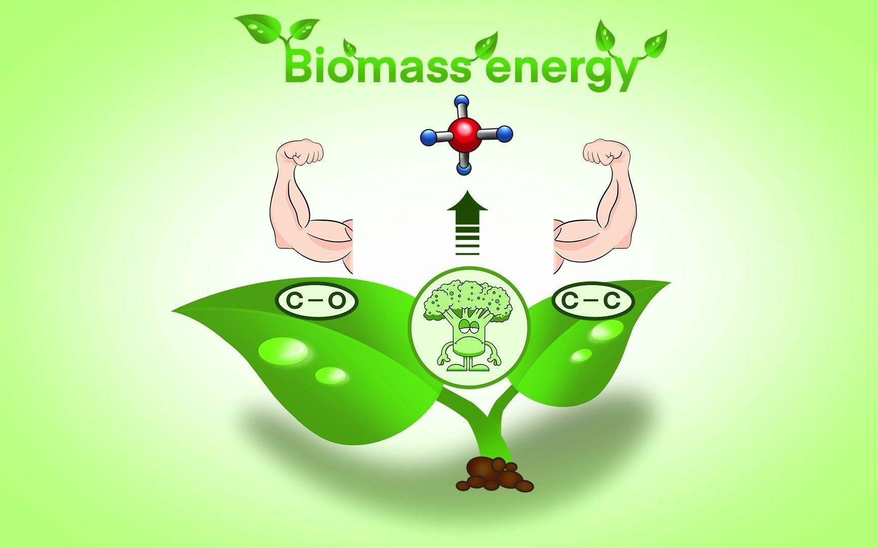 从木质素到苄胺,科学家的新策略只需要一步!哔哩哔哩bilibili