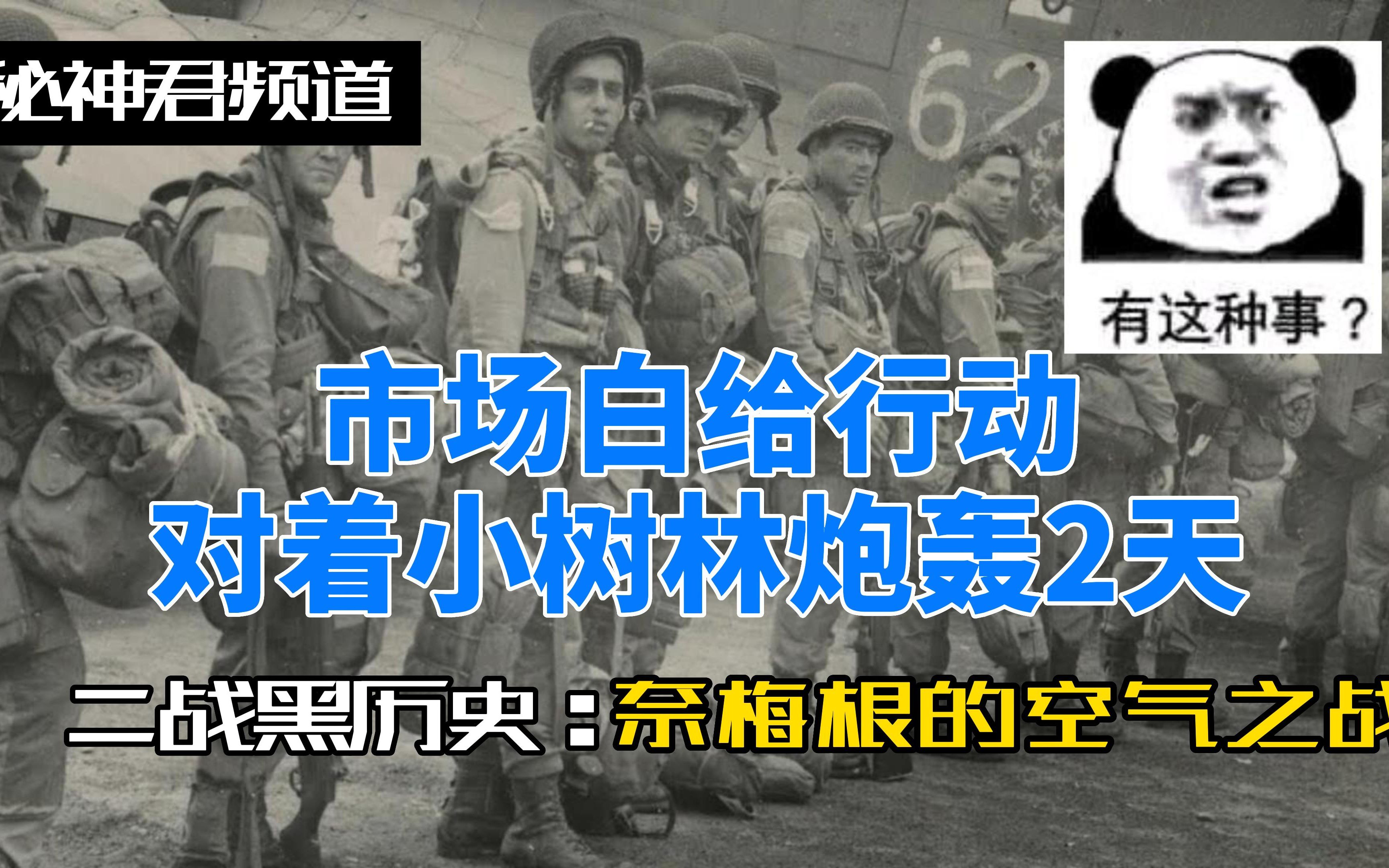 [图]【秘神君】市场白给行动，美82师冲着空荡荡的森林炮轰两天，延误计划四十多个小时，害的英军被德军锤的满地跑