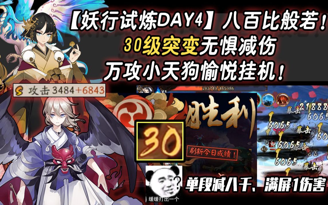 [图]【阴阳师/妖行试炼DAY4】八百比般若！30级突变无惧减伤，万攻小天狗愉悦挂机！