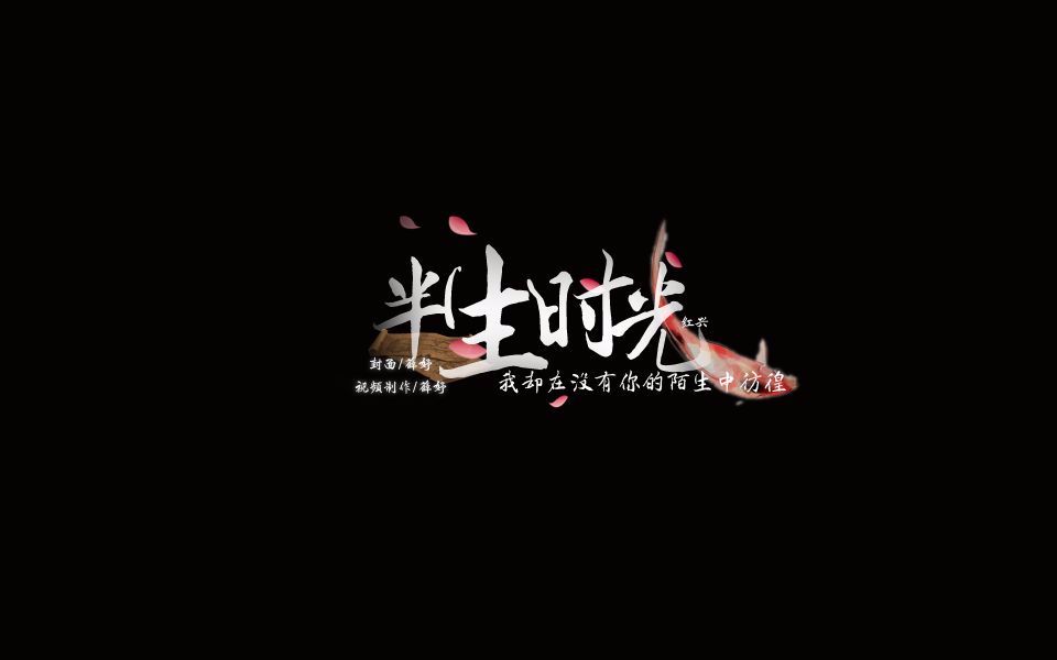 半生时光