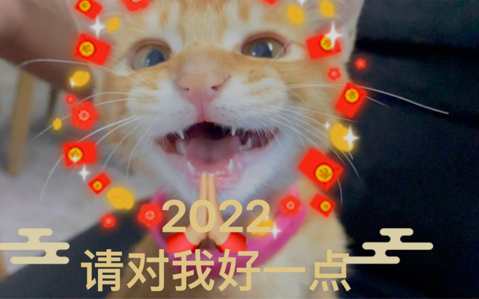 2022对我好点图片