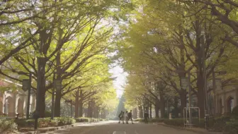 日本第一大一美女 青山学院大学 中川紅葉 Fresh Campus Contest 2019 哔哩哔哩 Bilibili