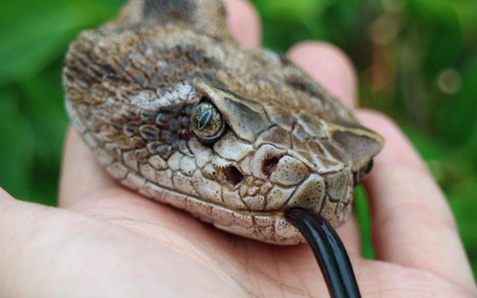 响尾蛇头gk涂装