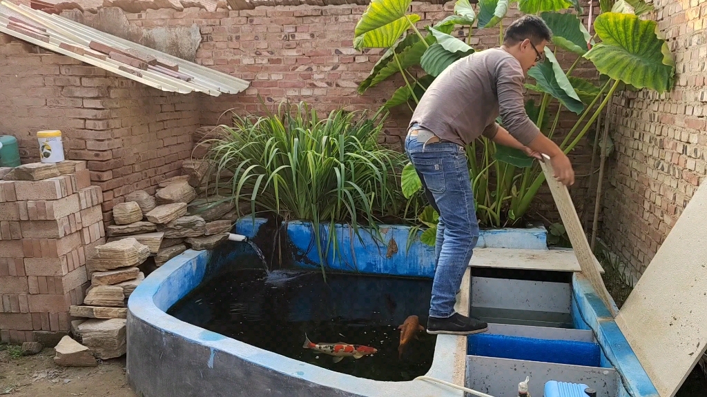 需要做鱼池的鱼友关注一下,简单实用的鱼池侧滤系统分享给大家