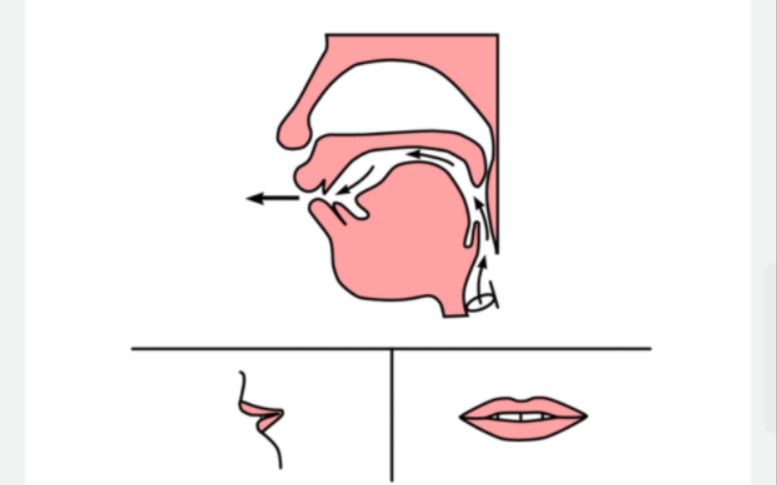 普通话考试基础发音【声母f】