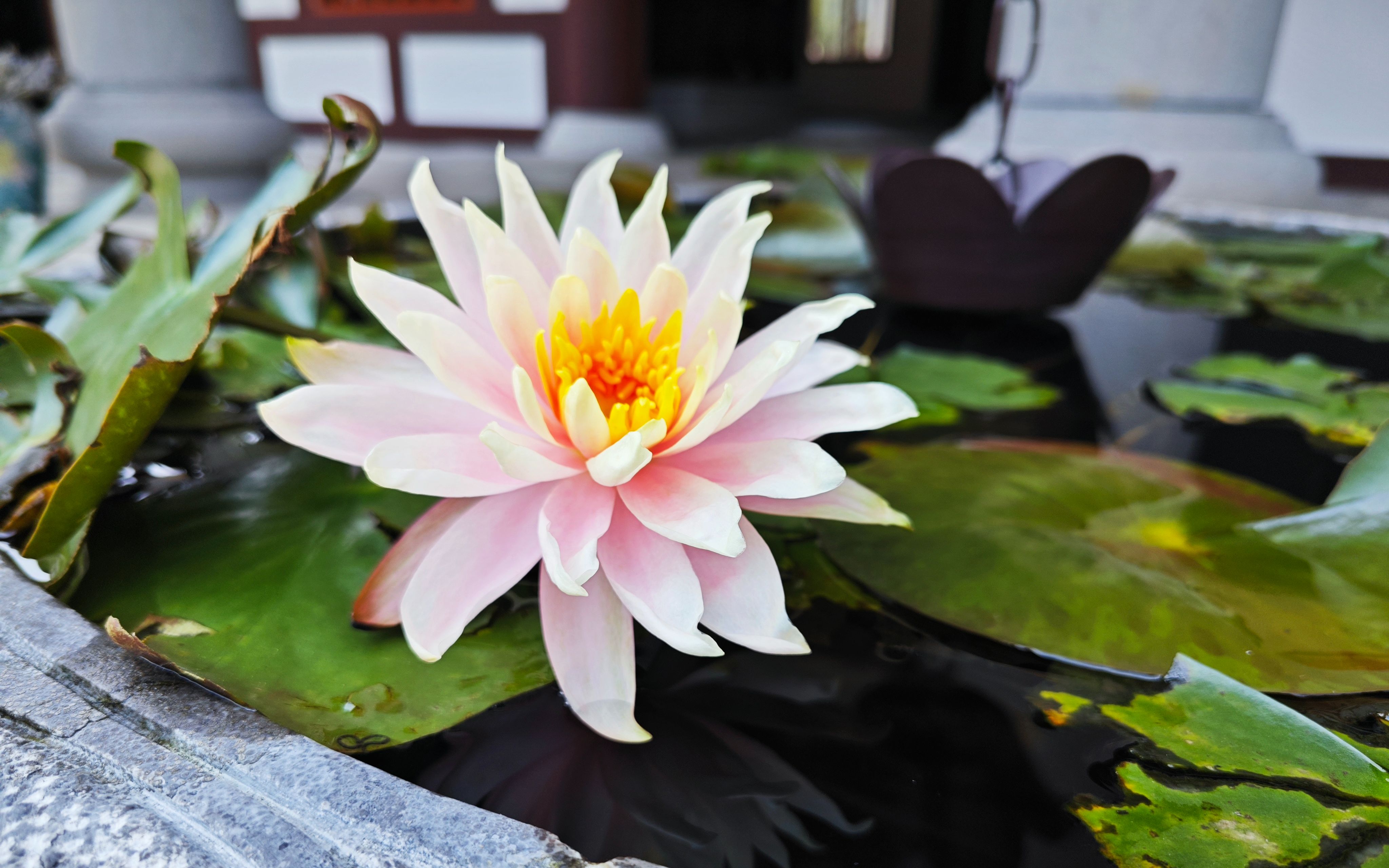 云水禅心,这里的环境就让你的心澄静下来