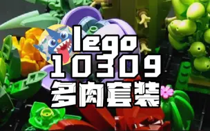 Download Video: 【超值套装】-lego10309多肉套装开箱