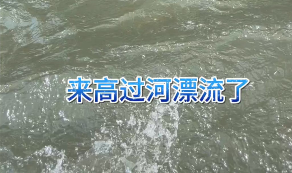 【漂流】漂流图鉴哔哩哔哩bilibili