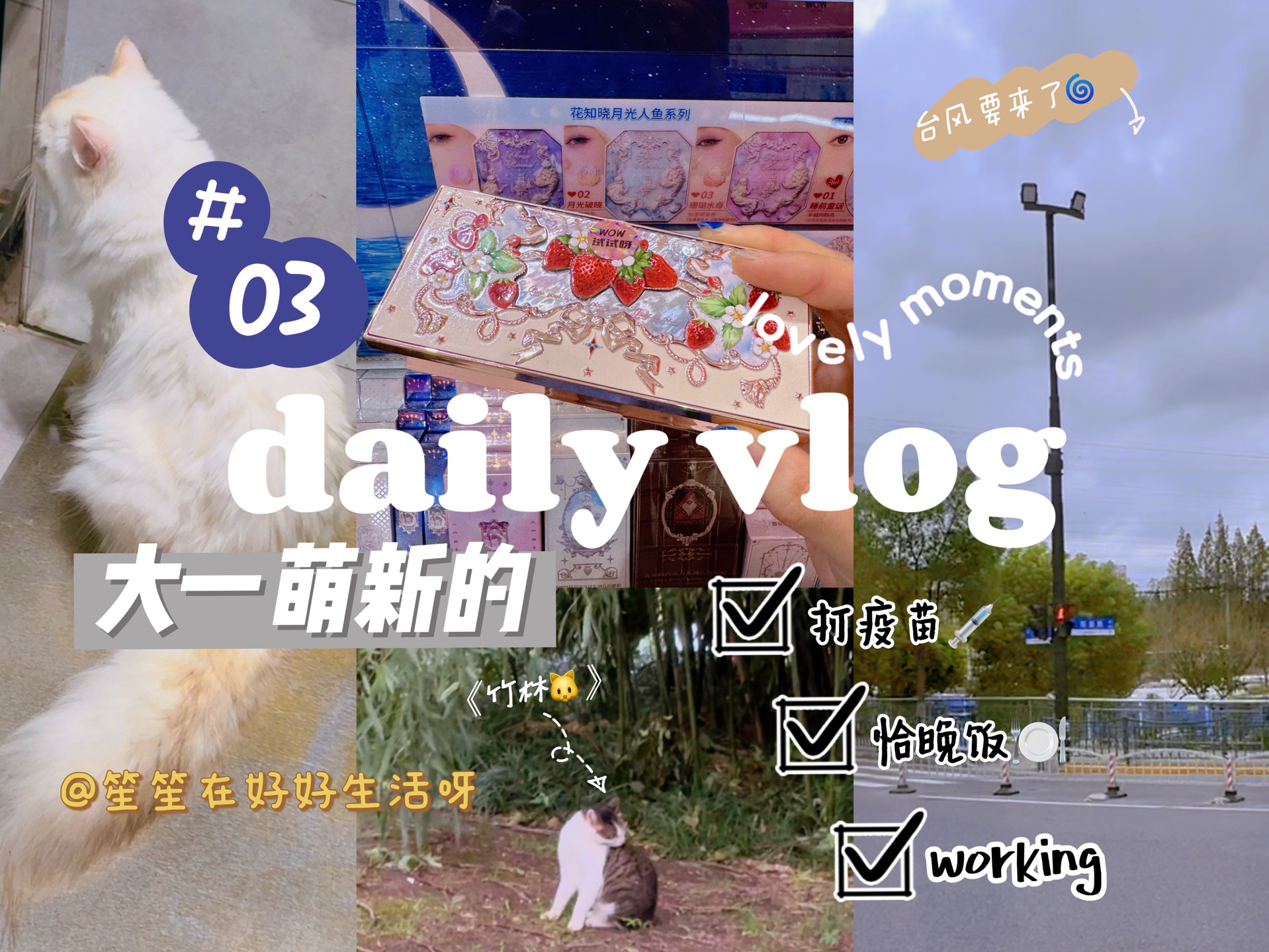 VLOG|没有课的下午就会有事情umm…哔哩哔哩bilibili