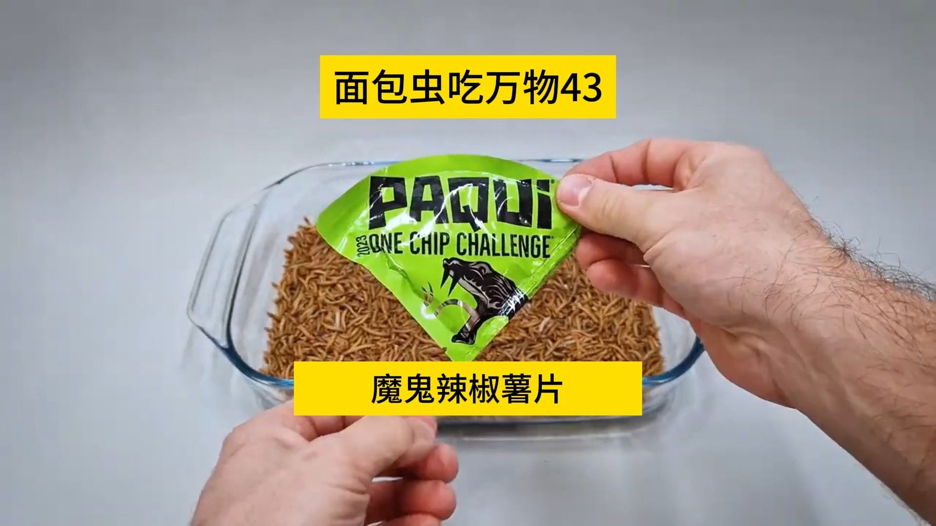 面包虫吃万物43,一生人要吃一次的地狱魔鬼辣椒薯片