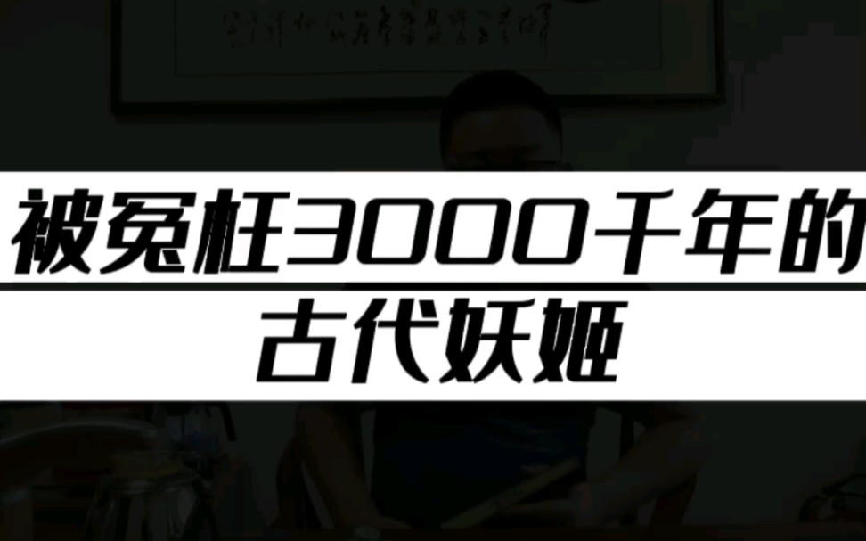 中国 古代 四大妖姬 妲己 历史人物 传统文化 国学文化 古代 美女哔哩哔哩bilibili