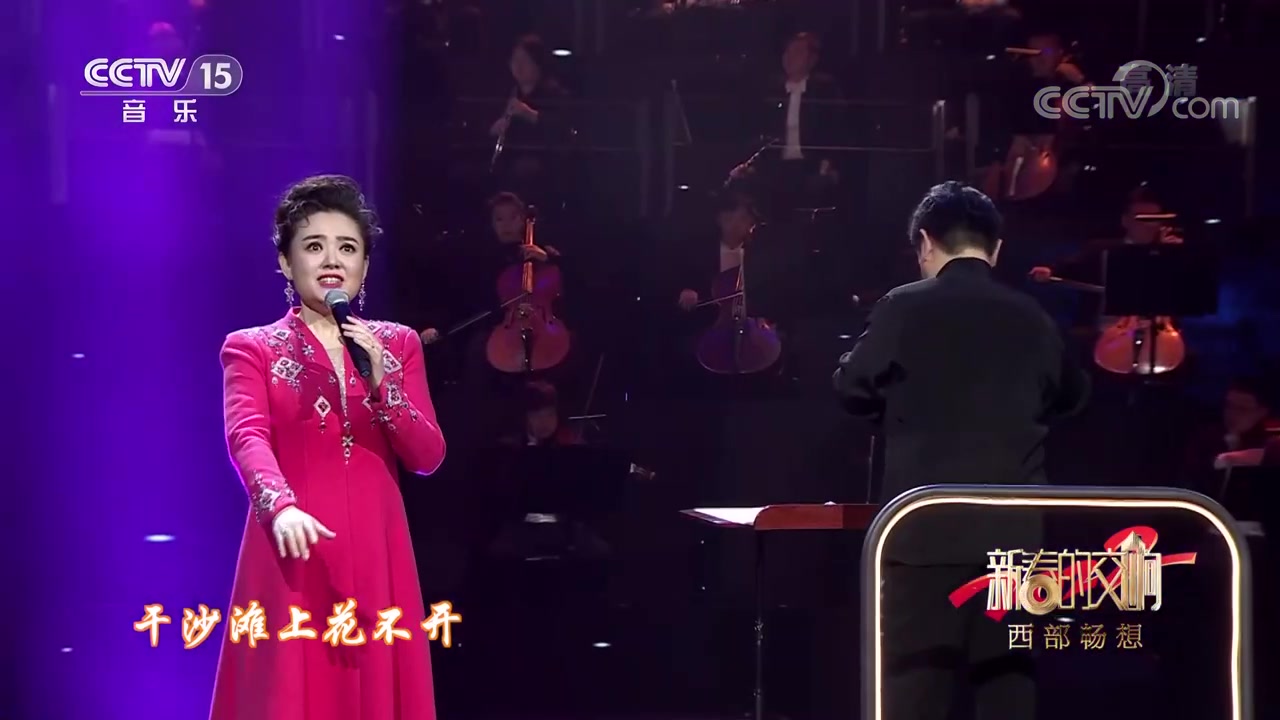 [图][新春的交响]歌曲《花儿一唱天下春》 演唱：王庆爽 指挥：李飚_中国音乐电视 Music TV